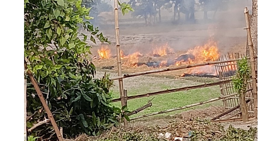 stubble burning parali in Bihar