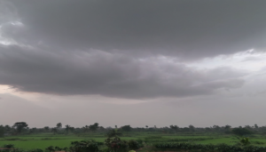 Light Rain Likely in Parts of Bihar Over Next Two Days as Western Disturbance Approaches