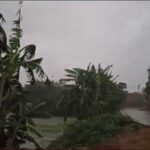 Heavy Rainfall and Strong Winds Expected in Bihar, Yellow and Orange Alerts Issued