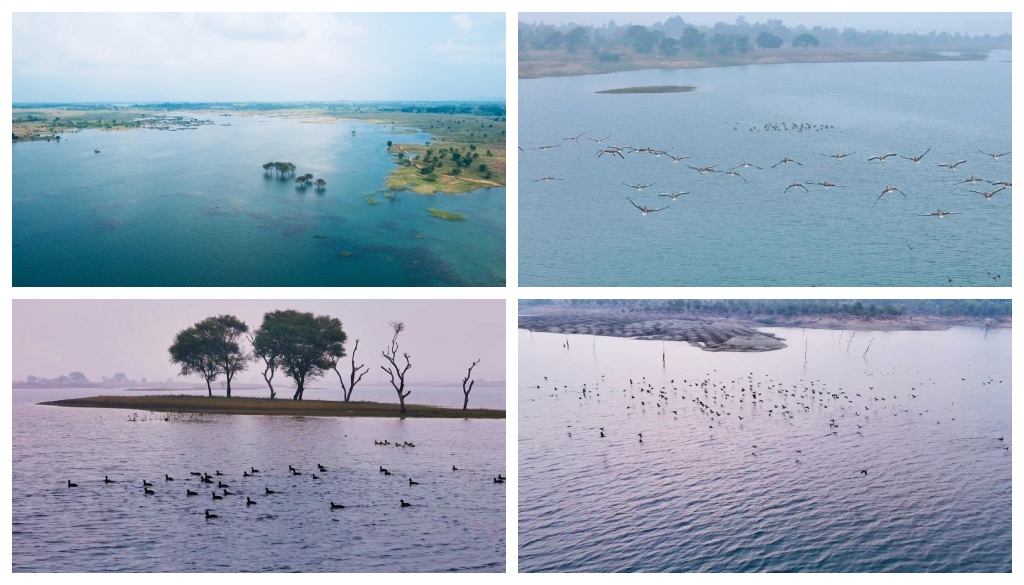 2 more Ramsar Sites added to Bihar: Nagi and Nakati Bird Sanctuary