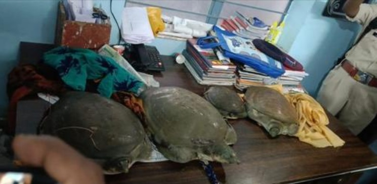 tortoise smuggling in Bihar train