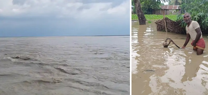 Kosi river flood