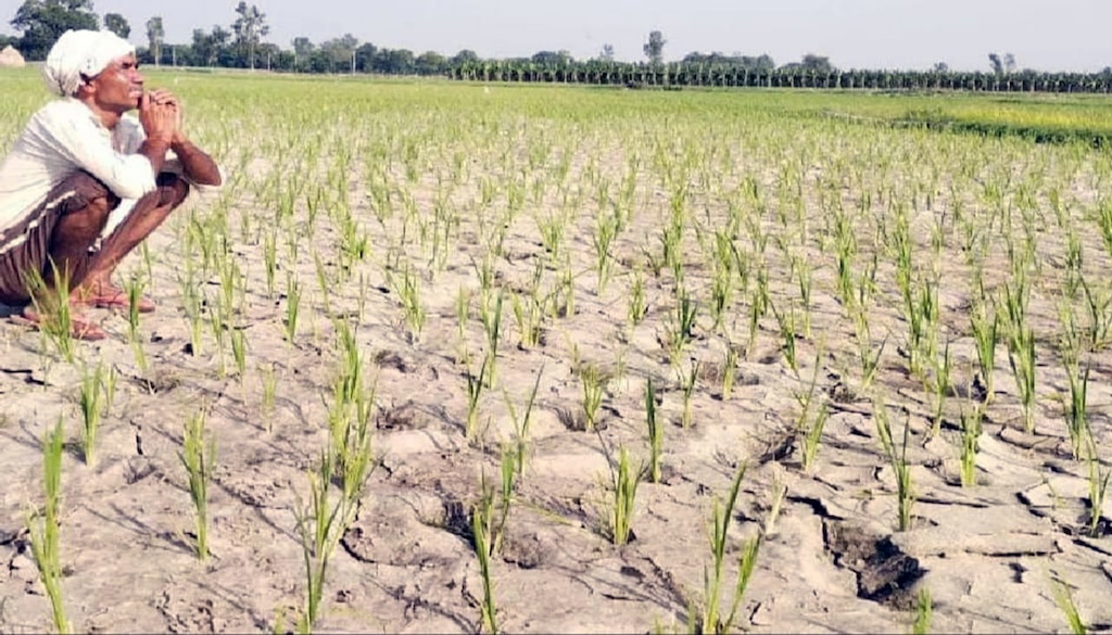 Bihar's Rainfall Deficit Deepens, Raising Alarm for Farmers and Residents