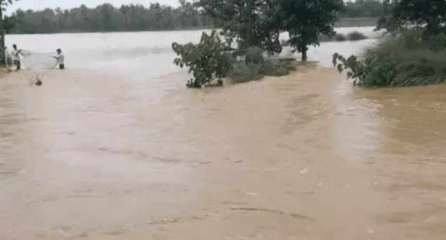 bihar flood