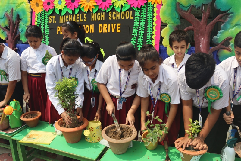 St. Michael’s High School Inspires Environmental Action with Plantation Drive