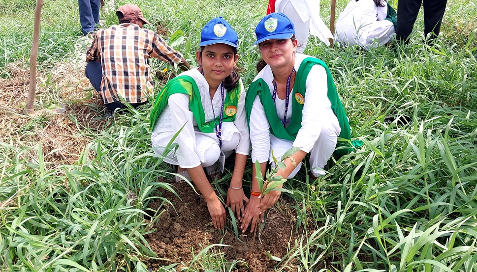 tree plantation st xaviers