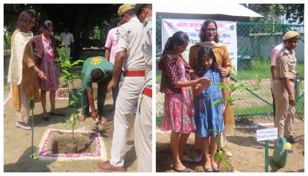 Bihar Environment Secretary Visits Valmiki Tiger Reserve, Plants Saplings to Promote Conservation