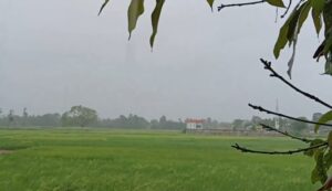 Bihar rain land