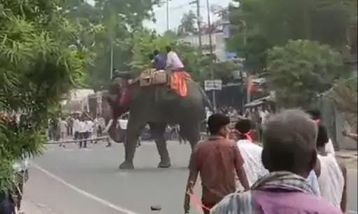 Elephant Goes Out of Control in Saran, Damages Vehicles During Immersion Procession