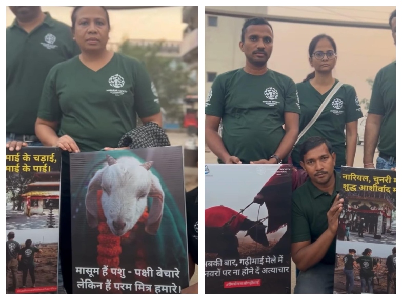 Animal Protection Groups Work to Stop Illegal Animal Sacrifices at Gadhimai Festival