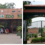 Patna Zoo and Eco Park Gear Up for New Year’s Rush with Advance Ticket Sales