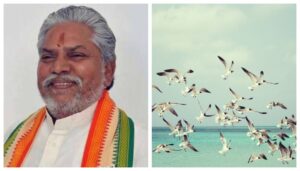 Minister Directs Officials to Prevent Hunting, Protect Migratory Birds in Bihar