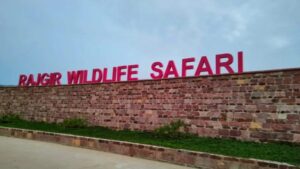 Rajgir Wildlife Sanctuary introduces strict rules to protect habitat