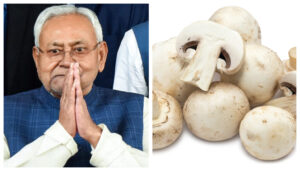 Bihar Government Launches Subsidized Mushroom Farming Scheme to Empower Farmers