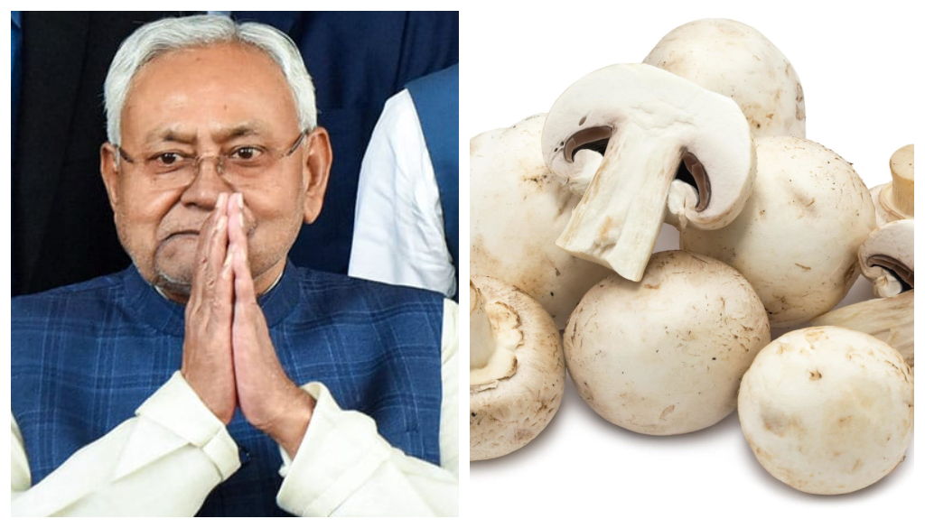 Bihar Government Launches Subsidized Mushroom Farming Scheme to Empower Farmers