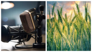 Bihar Krishi Radio Gains Popularity Among Farmers With Diverse Programs and Expert Guidance