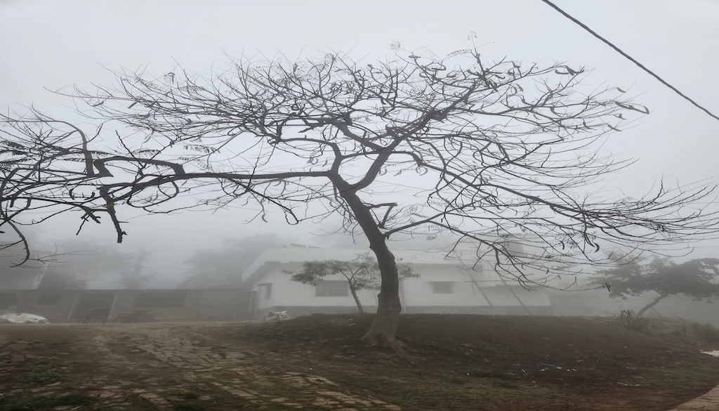 Yellow alert issued for cold day in 19 Bihar districts; cold wave expected to intensify in 48 hours