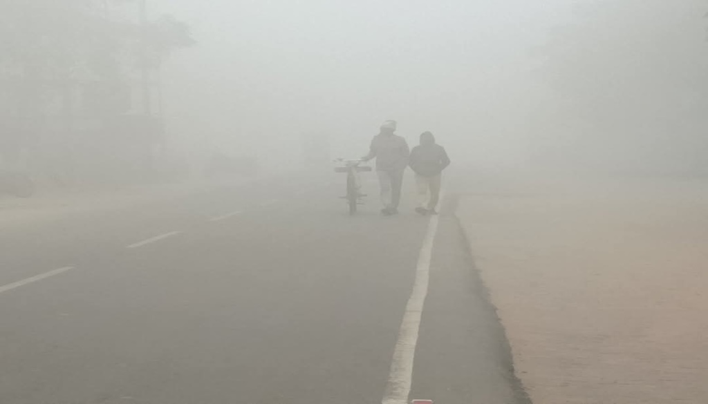 Cold Wave Alert Issued for 20 Districts; Severe Cold Hits Vaishali, Samastipur, Nalanda