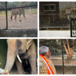 Environment Minister Prem Kumar Inspects Winter Care Measures at Patna Zoo