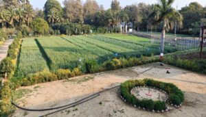 Crop Cafeteria Showcasing New Wheat and Linseed Varieties Attracts Farmers in Bhagalpur