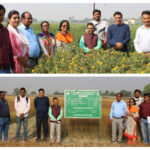 Bihar Agricultural University Achieves Breakthrough in Oilseed Research