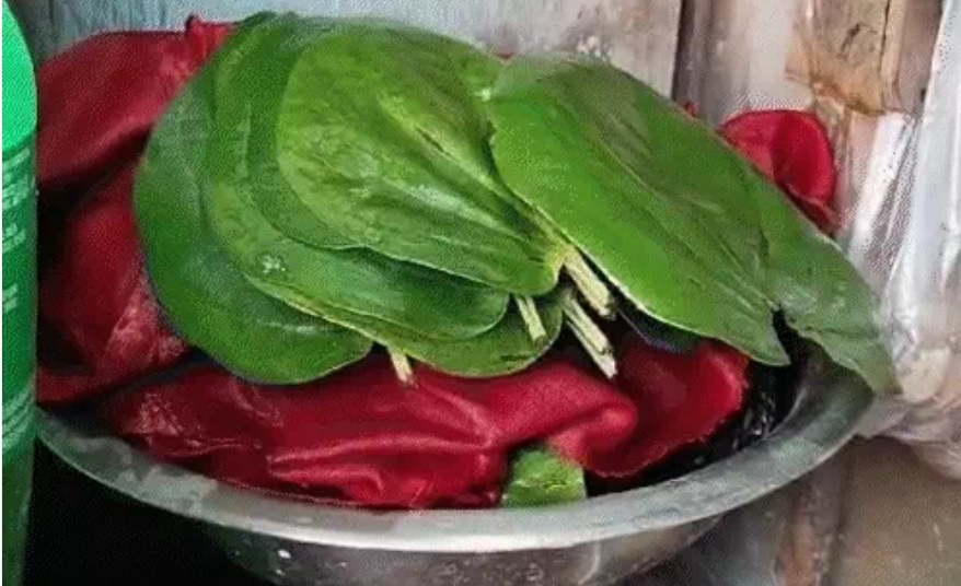 paan betel