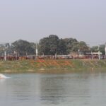 Green push: Bihar Bets Big on Trees and Water with Rs 528 Crore Boost to Jal-Jeevan-Hariyali Mission