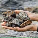 Lithium and Potash Reserves Found in Bihar, Mining to Begin Soon: Union Minister