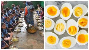 Eggs Return in Mid-Day Meals in Bihar Government Schools After Bird Flu Advisory Lifted