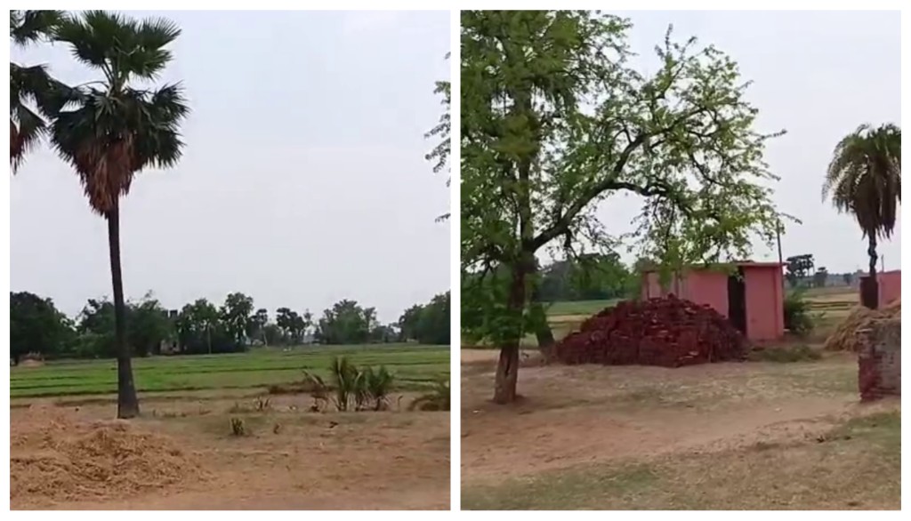 Only Eagles and Crows Remain: No Lights, No People—Just Silence in Bihar’s Mysterious Empty Village