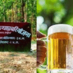 Liquor Party At Bihar’s Valmiki Tiger Reserve Busted; Four foresters, Five Civilians Arrested