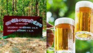 Liquor party at Bihar’s Valmiki Tiger Reserve busted; four foresters, five civilians arrested