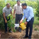 Bihar Agriculture Secretary Champions Conservation and National Recognition of Dudhia Maldah Mangoes