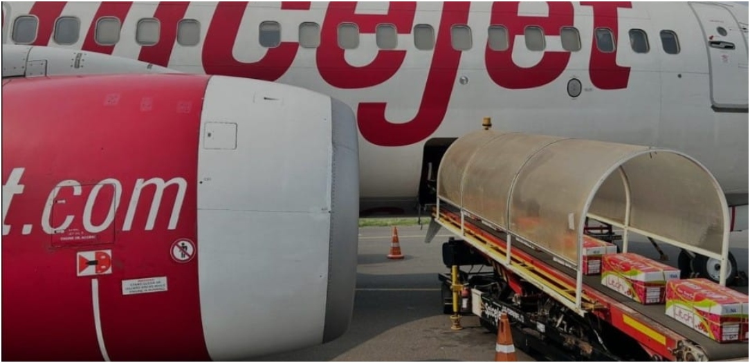 First Consignment Of Shahi Litchi Flies From Darbhanga Airport To Mumbai, Boosting Bihar’s Agricultural Exports