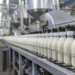 Jeevika Didis Expands Enterprise: Launches Dairy to Produce 80,000 Liters of Milk Daily