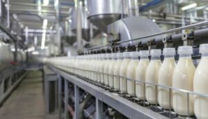 Jeevika Didi Expands Enterprise: Launches Dairy to Produce 80,000 Liters of Milk Daily