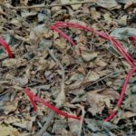 Security Forces Foil Maoist Attack By Defusing Three IEDs in Gayaji