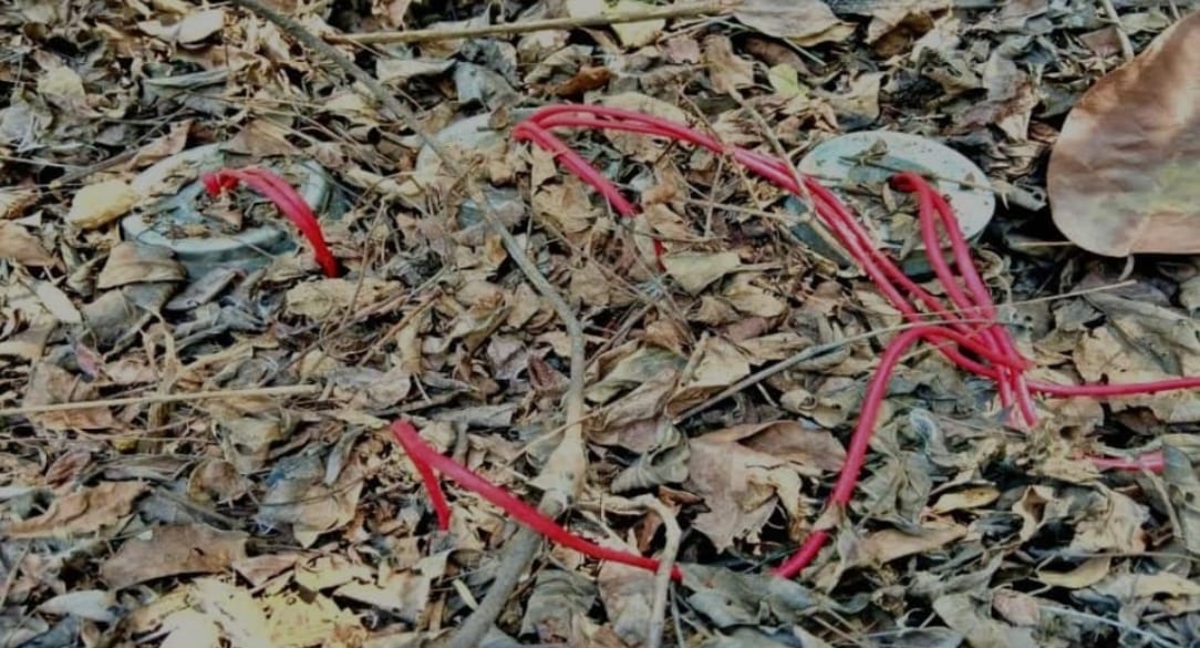 Security Forces Foil Maoist Attack By Defusing Three IEDs in Gayaji