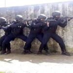 Bihar STF Arrests 115 Most Wanted Criminals and 13 Naxalites in Major Crackdown