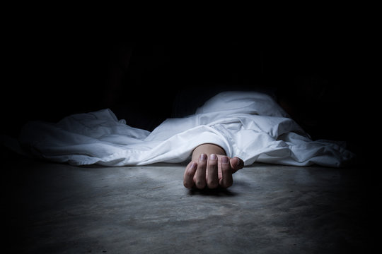 Wedding Celebration Turns to Tragedy: Three Killed in Horrific Road Crash in Bihar