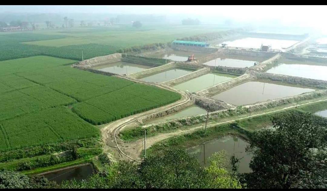 Bihar Government boosts Rural Employment through Fisheries-based Entrepreneurship