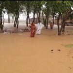 Flood Fury Hits Bodh Gaya: Villages Submerged, Hundreds Seek Shelter in Schools
