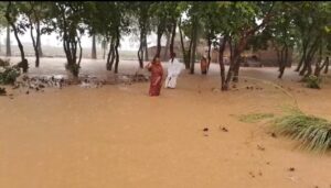 Flood Fury Hits Bodh Gaya: Villages Submerged, Hundreds Seek Shelter in Schools