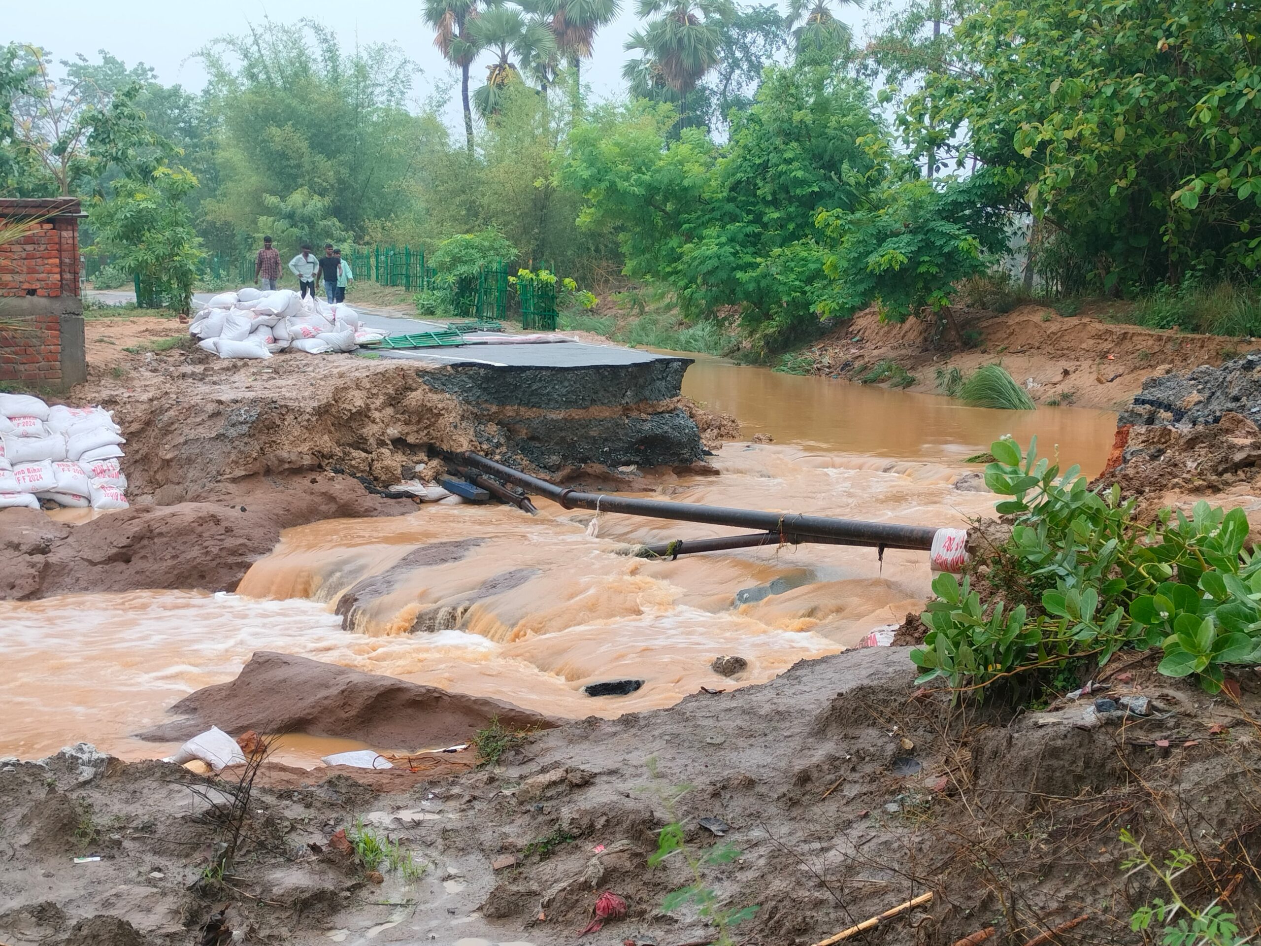 Monsoon Brings Widespread Rain to Bihar, Flood Risk Rises in Several Southern Districts