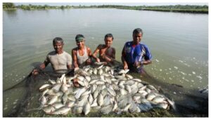Fish Production in Bihar Triples in 20 Years, State Achieves Self-Sufficiency