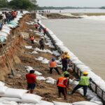 Embankment Repair Underway in Bihar After Heavy Rain Triggers Dam Damage