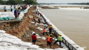 Embankment Repair in Bihar