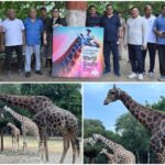 Patna Zoo Marks World Giraffe Day with Conservation Pledge and Public Call to Action