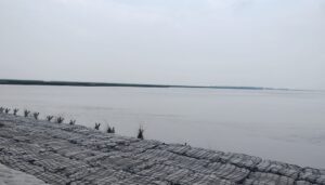 Bihar Braces for Rising River Levels as Monsoon Rainfall Sparks Flood Concerns