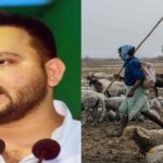 Tejashwi Prasad Yadav Promises ‘Shepherd Commission’ for Pal Community Ahead of Bihar Polls